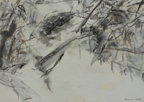 o.Titel, Aquarell, Kreide, Grafit auf Papier, 70 x 50 cm